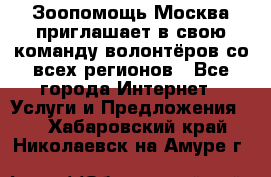 Зоопомощь.Москва приглашает в свою команду волонтёров со всех регионов - Все города Интернет » Услуги и Предложения   . Хабаровский край,Николаевск-на-Амуре г.